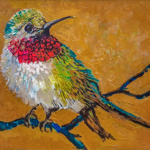 Tüzes-torkú kolibri