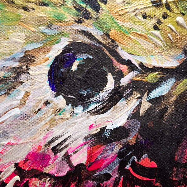 Fiery-throated Hummingbird - detail photo