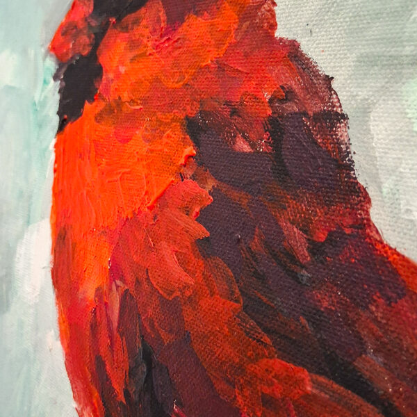 Cardinal Finch - detail photo