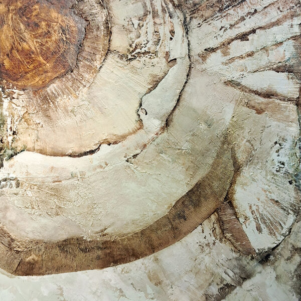 The Embrace of the Sun