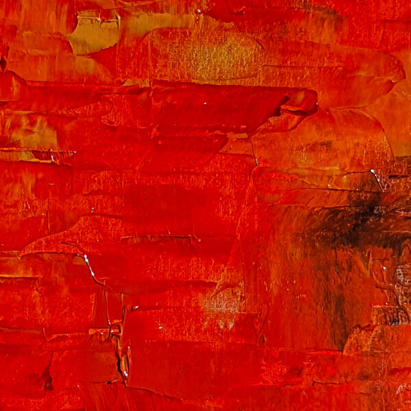 Gladiolus Byzantinus - foto de detalle