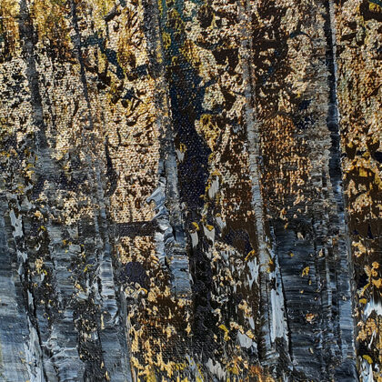 Diocleciano 303-313 - fotos de detalle