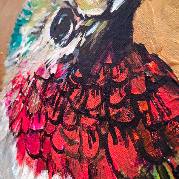 Colibrí garganta de fuego - foto de detalle