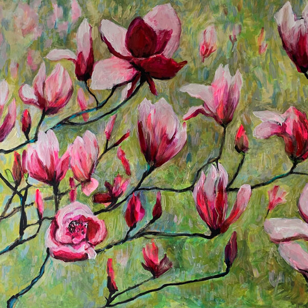 Magnolias rosas