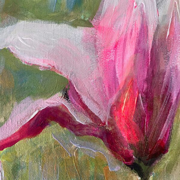 Magnolias rosas - foto de detalle