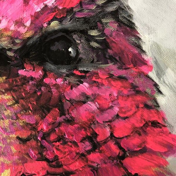 Colibrí II. - foto de detalle