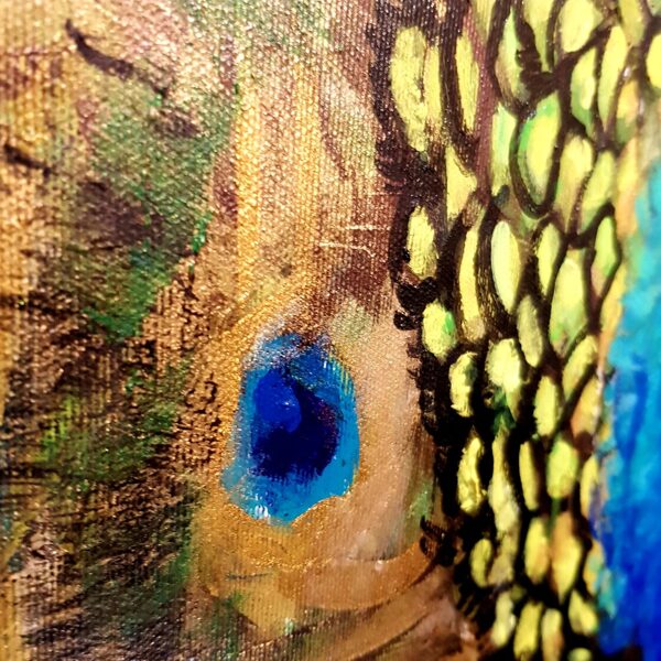 Pavo real - foto de detalle