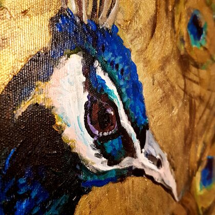 Peacock - detail photo
