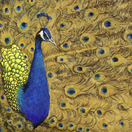 Peacock - 100x155 cm
