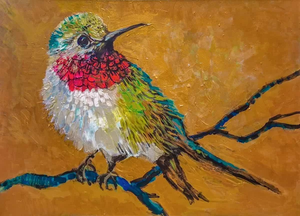 Fiery-throated Hummingbird