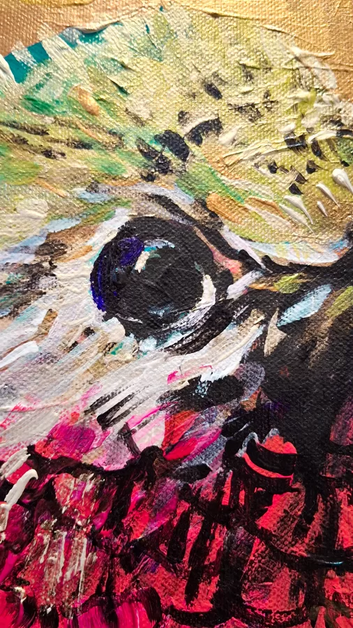 Fiery-throated Hummingbird - detail photo