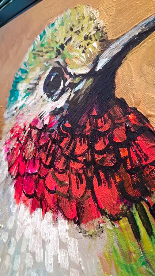 Fiery-throated Hummingbird - detail photo