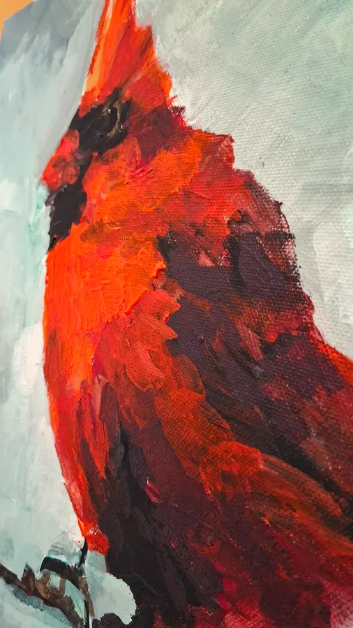Red Cardinal - detail photo