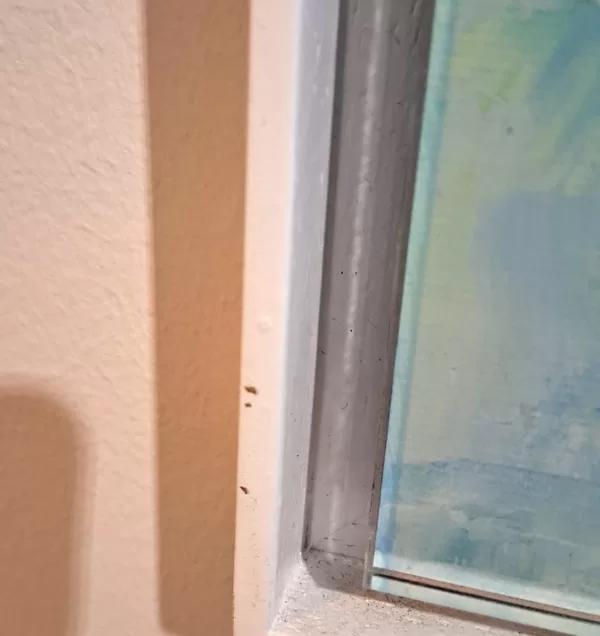 Frame