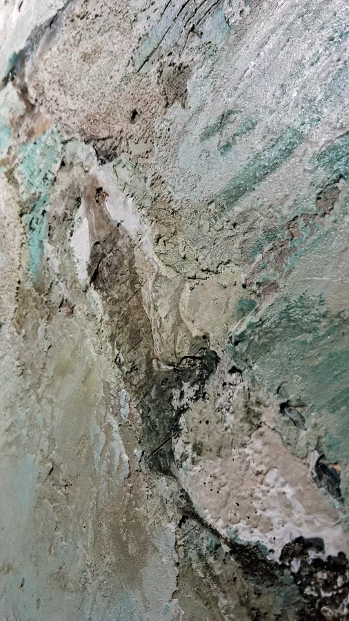 Natural Beauty - detail photo